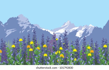 alpine meadow landscape