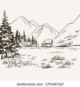 Alpine meadow landscape. Mountain view with cow on the grass. Hand drawn inking, graphic sketch, vintage etching. Stock vector illustration