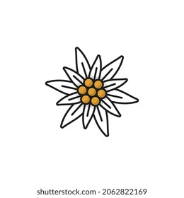 Alps Edelweiss Flower Isolated Meadow Blossom Line Icon. Vector Wildflower Growing In Mountains, National Floral Decoration. Symbol Of Alpinism, Switzerland Alps, Swiss And German Bavarian Bud