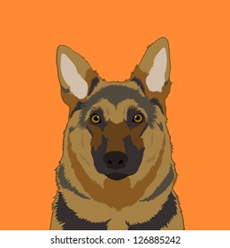Alsatian, The buddy dog