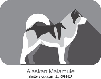 Alskan Malamute dog breed flat icon design, vector illustration