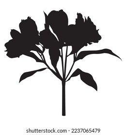 Alstroemeria black silhouette. Peruvian lily tropical flower, vector illustration isolated on white background.