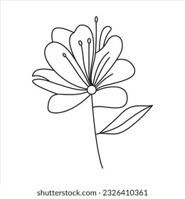 Alstroemeria in Black and White: Single Line Art Floral Vector Illustration