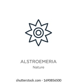 Symbol der Alstroemeria. Dünne lineare Alstroemeria Umrisssymbol einzeln auf weißem Hintergrund aus der Natursammlung. Vektorillustration der Linie, Symbol für Web und Mobilfunk