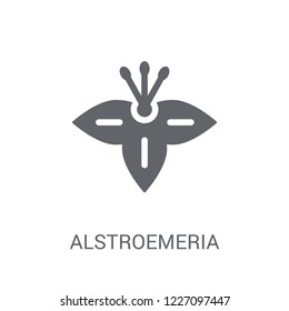 Alstroemeria icon. Trendy Alstroemeria logo concept on white background from Nature collection. Suitable for use on web apps, mobile apps and print media.