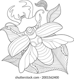 Alternative Beauty Collection - Stag Beetle, Stag beetle coloring book, black and white drawing.