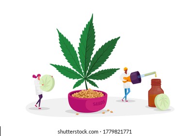 Alternative Cbd Remedy or Medication, Light Drugs for Personal Use. Scientist or Pharmacist Characters Produce Oil and Pills of Medical Cannabis, Aromatherapy. Cartoon People Vector Illustration