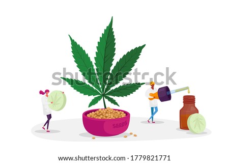 Alternative Cbd Remedy or Medication, Light Drugs for Personal Use. Scientist or Pharmacist Characters Produce Oil and Pills of Medical Cannabis, Aromatherapy. Cartoon People Vector Illustration