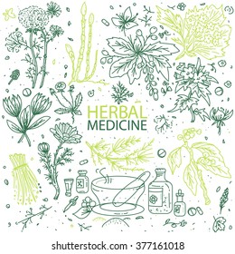 Alternative medicine herbs doodle hand drawn elements sketch vector illustration 