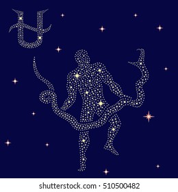 Alternative thirteenth Zodiac sign Ophiuchus on a background of the starry sky, vector illustration