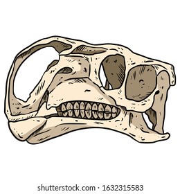 Altirhinus skull line hand drawn sketch image. Iguanodontian ornithopod dinosaur fossil illustration