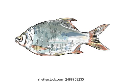 aluminum foil spine fish without background