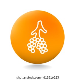  Alveol icon flat.
