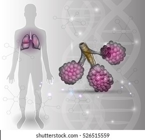 Alveoli Anatomy, Oxygen And Carbon Dioxide Exchange Between Alveoli And Capillaries, External Respiration Mechanism.