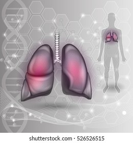 Alveoli anatomy- tiny air spaces in the lungs through which exchanges oxygen and carbon dioxide. Abstract grey background