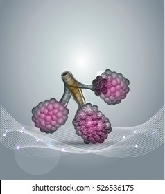 Alveoli anatomy- tiny air spaces in the lungs through which exchanges oxygen and carbon dioxide. Abstract grey background