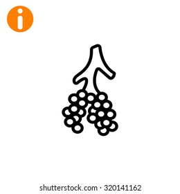 Alveoli icon