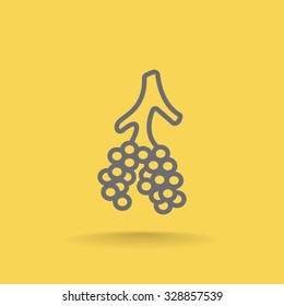 Alveoli icon