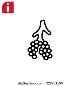 Alveoli icon