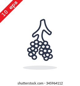 Alveoli icon