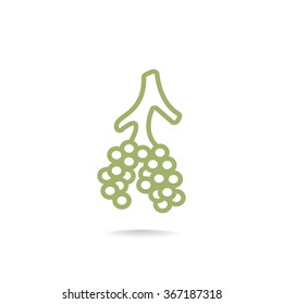 Alveoli icon