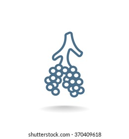 Alveoli icon