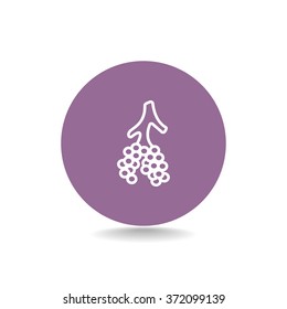 Alveoli icon