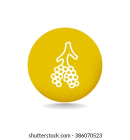 Alveoli icon