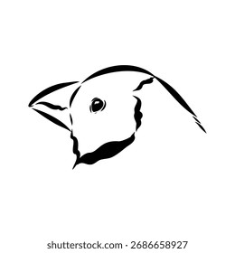 Amadina bird, vector sketch illustration