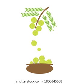 Amalki frucht ein kreatives Design