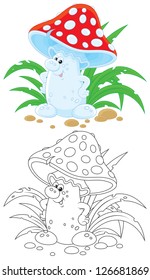 Amanita