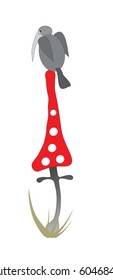 amanita