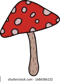 Amanita in bright color, a poisonous red mushroom with white chickpeas. Cartoon color vector illustration. Isolated on a white background.