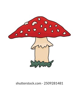 Amanita doodle toadstool mushroom. Vector fly agaric illustration on a white background