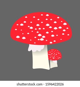 amanita flat illustration Wild life plants and animals series