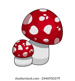 amanita fly agaric mushroom forest autumn summer poison poisonous walk forest 