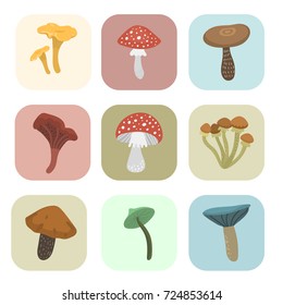 Amanita fly agaric toadstool mushrooms cards fungus different art style design vector illustration red hat