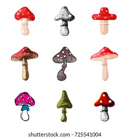 Amanita fly agaric toadstool mushrooms fungus different art style design vector illustration red hat