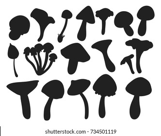 Amanita fly agaric toadstool mushrooms fungus different art style design vector illustration red hat