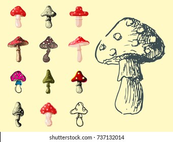 Amanita fly agaric toadstool mushrooms fungus different art style design vector illustration red hat