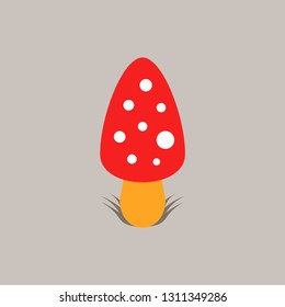 Amanita fly-agaric mushroom. Vector