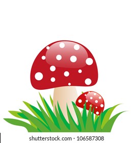 Amanita in the grass
