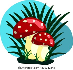 Amanita in the grass