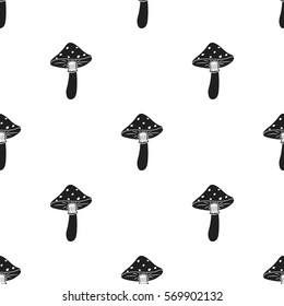 Amanita icon in black style isolated on white background. Mushroom pattern stock vector illustration.