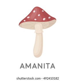 Amanita icon in cartoon style isolated on white background. Mushroom symbol stock vector illustration.