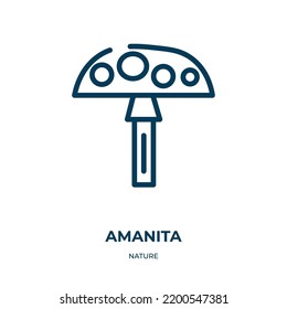 Amanita icon. Linear vector illustration from nature collection. Outline amanita icon vector. Thin line symbol for use on web and mobile apps, logo, print media.