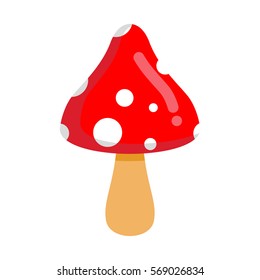 Amanita isolated. Poisonous mushroom with red hat
