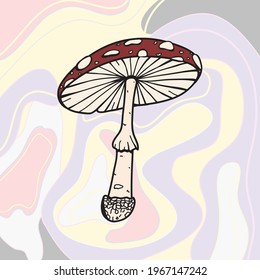 Amanita muscaria, fly agaric or fly amanita. Colourful illustration of mushroom. Vector illustration.  Dangerous cute mushroom. Forest mushroom. Big amanita muscaria.