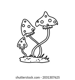 Amanita Muscaria (fly agaric) poisonous mushroom. Magic symbol of Halloween and witchcraft. Doodle style. Vector illustration on isolated background. For holiday invitations, print and web