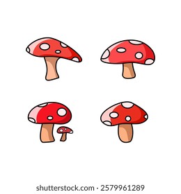 Amanita muscaria mushroom set design